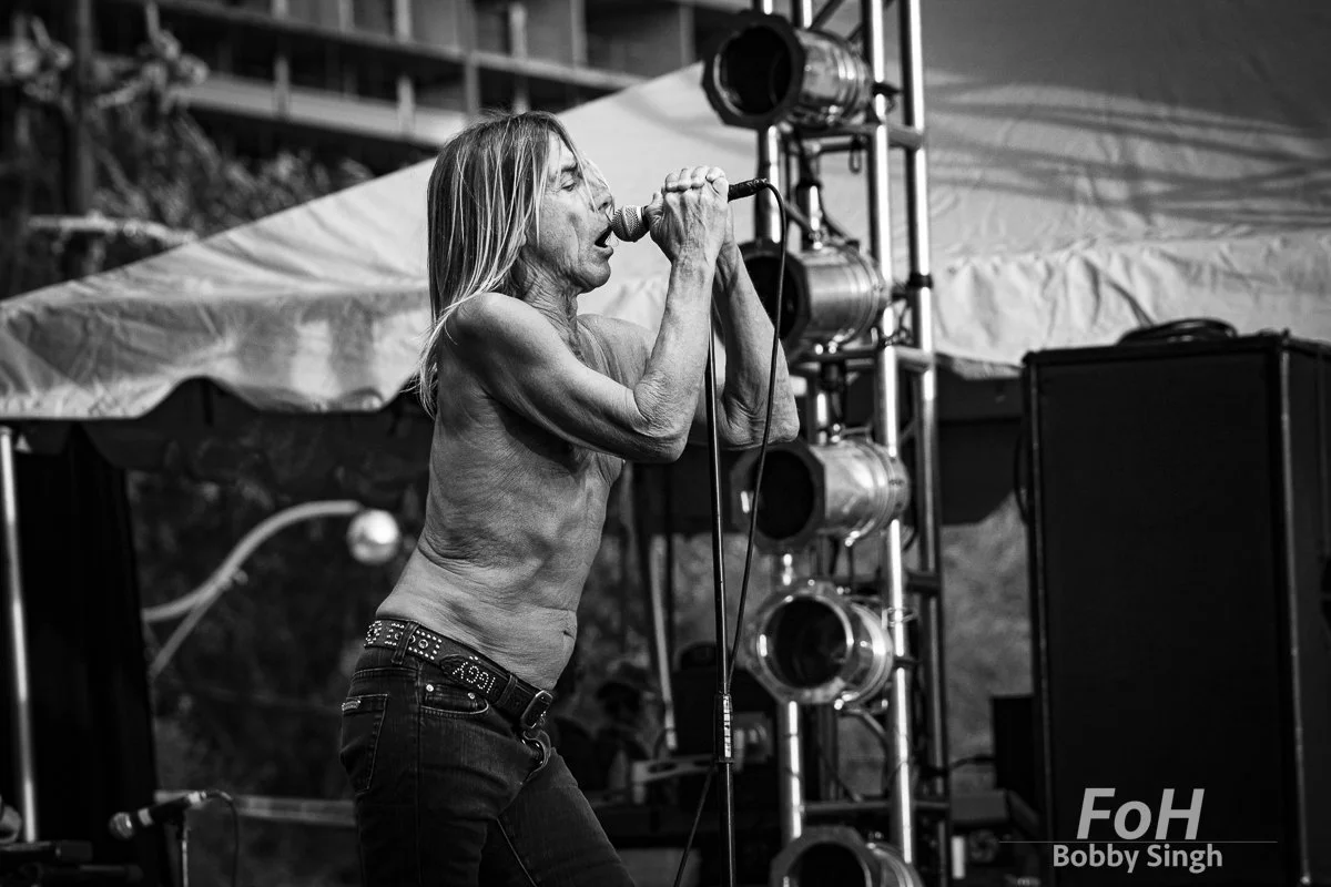 iggypop-9334.jpg