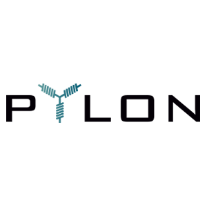 pylonnetwork.png