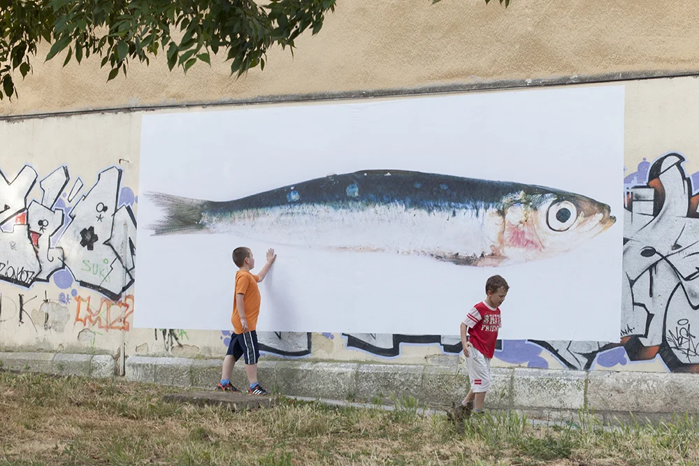 Public intervention @ Cultural Center Rojc, Pula, Croatia