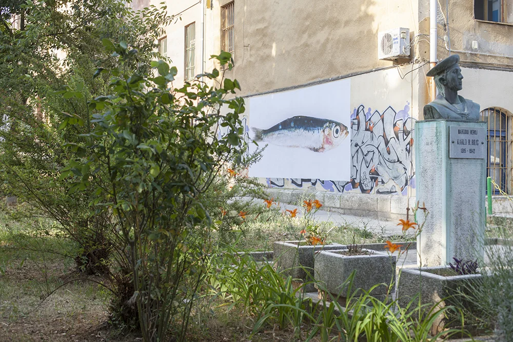 Public intervention @ Cultural Center Rojc, Pula, Croatia