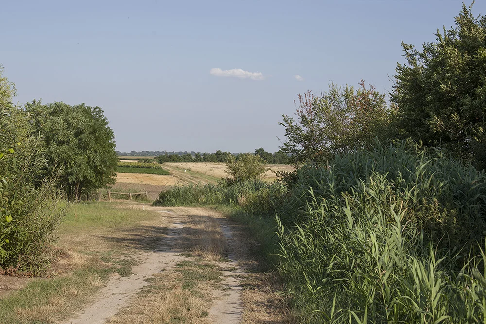 enclosure009.jpg