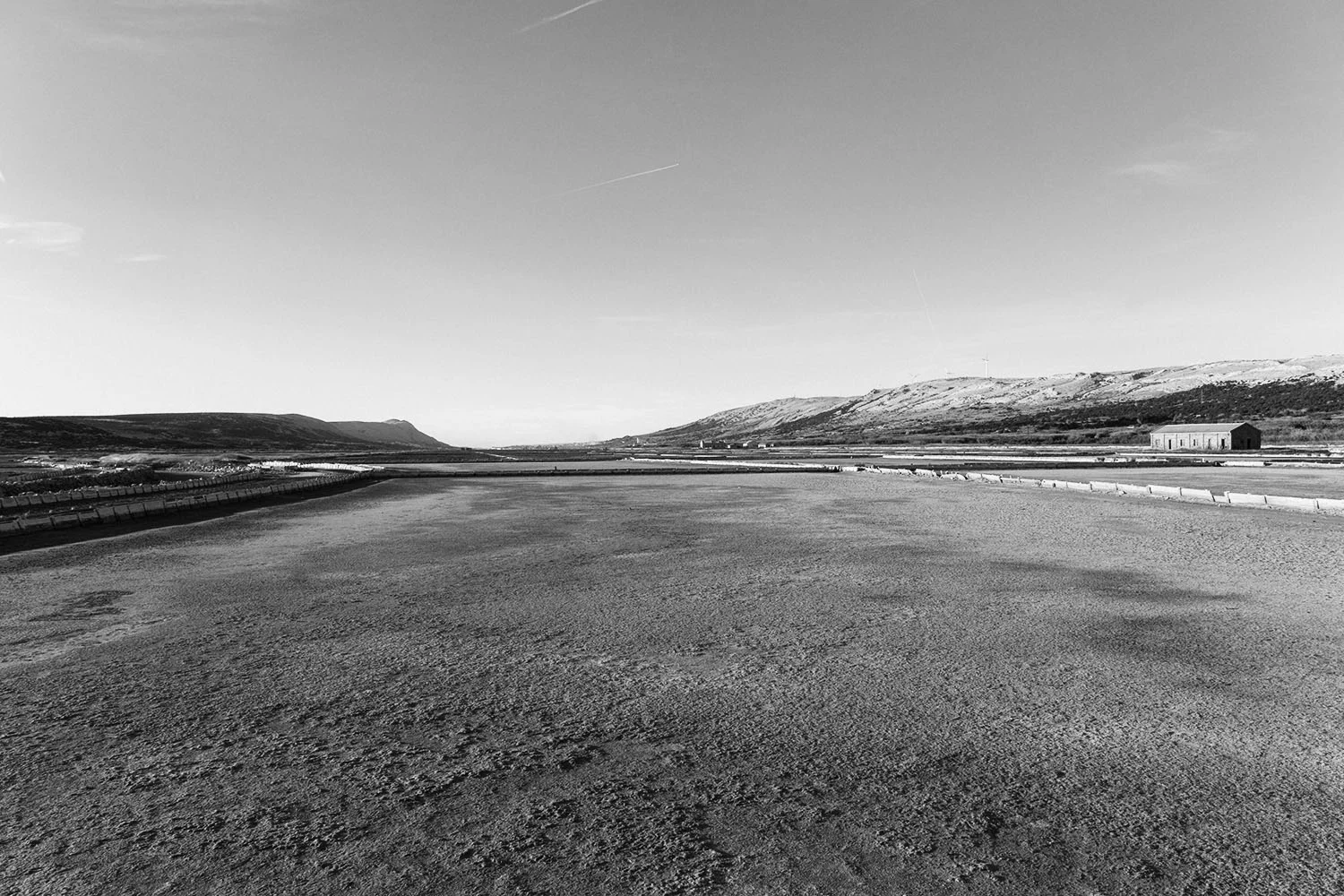_DSC7308.jpg