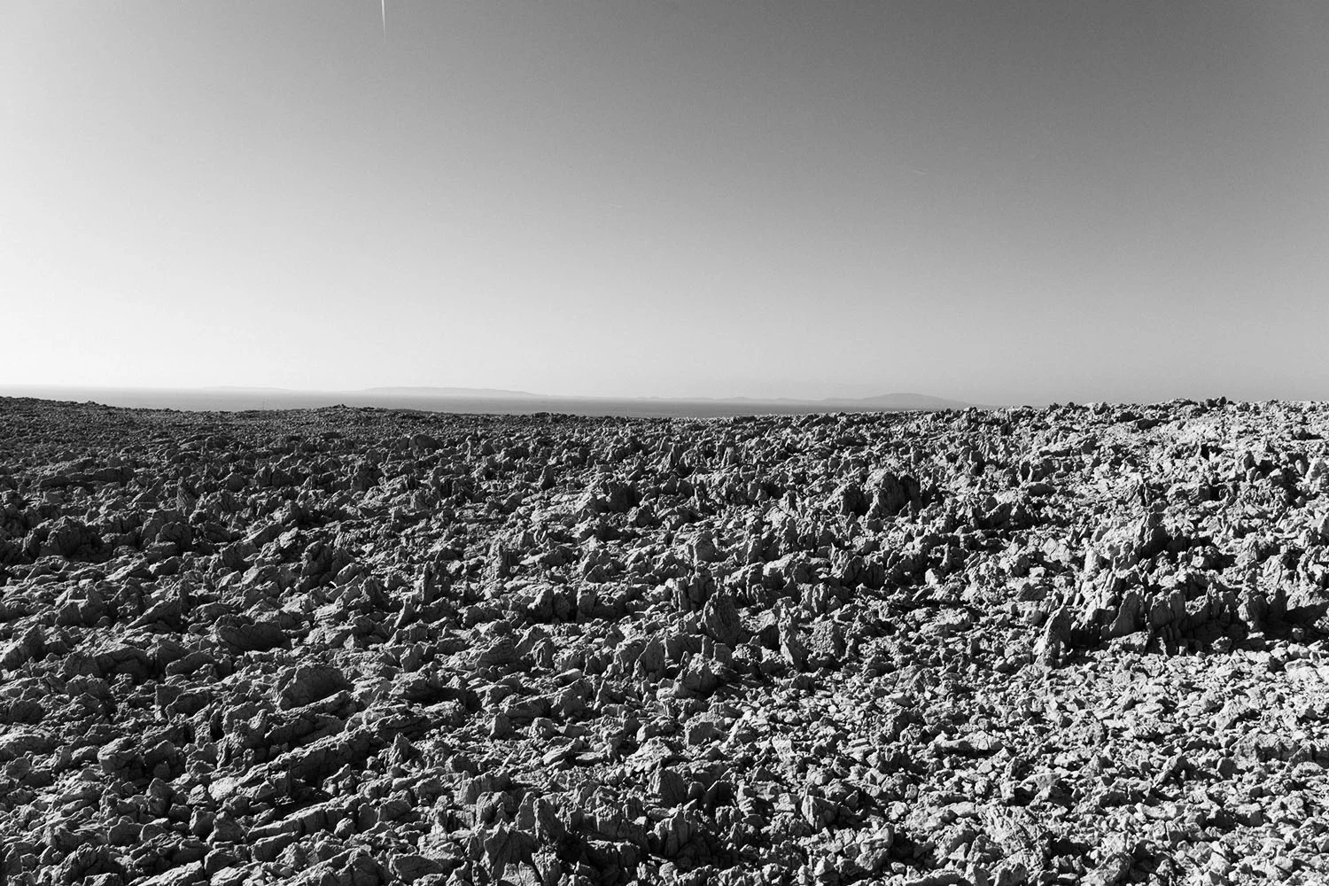_DSC7458.jpg
