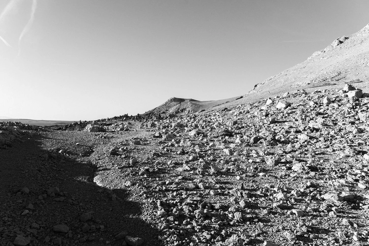 _DSC7795.jpg