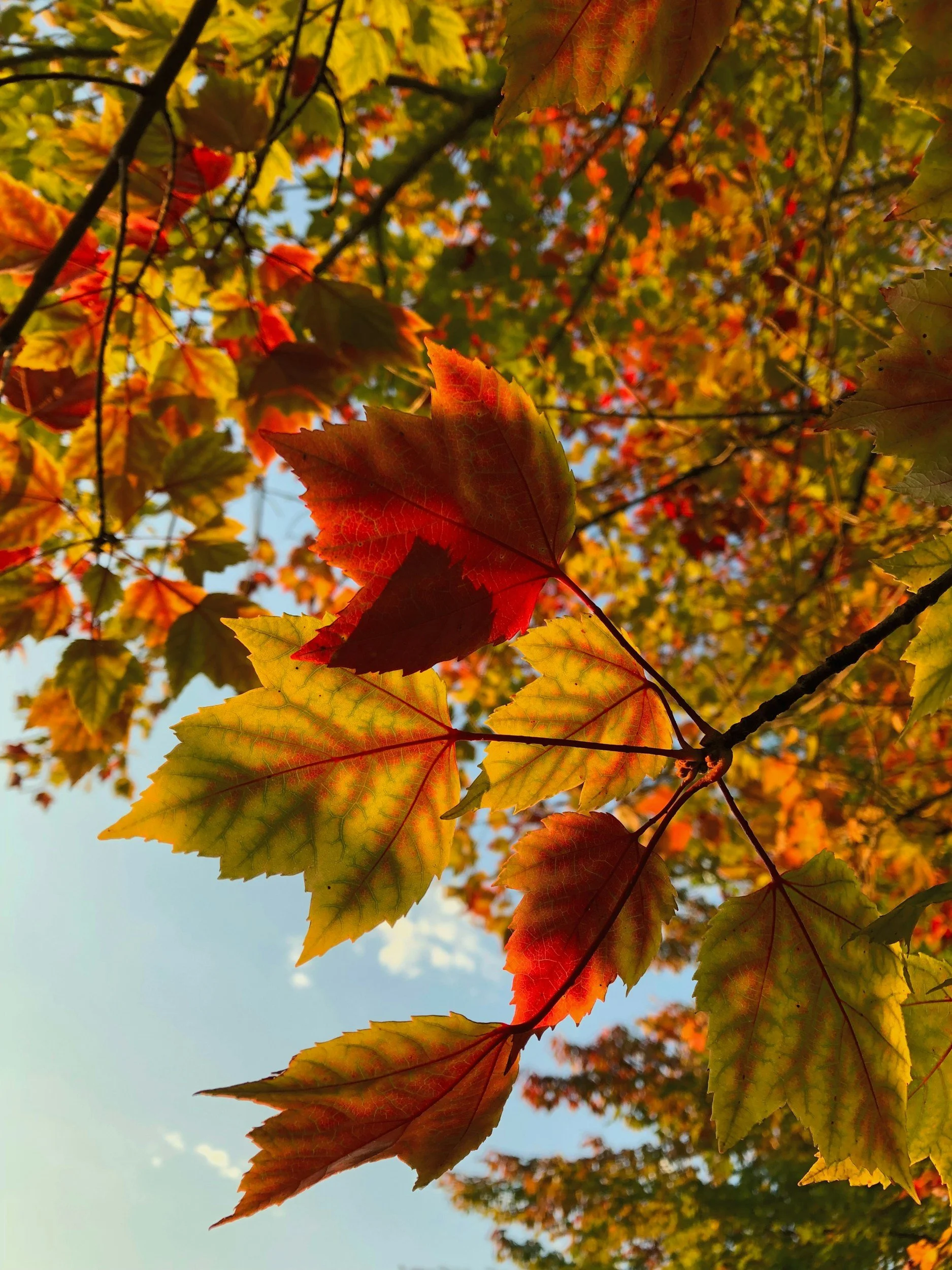OA In-Person Fall Retreat