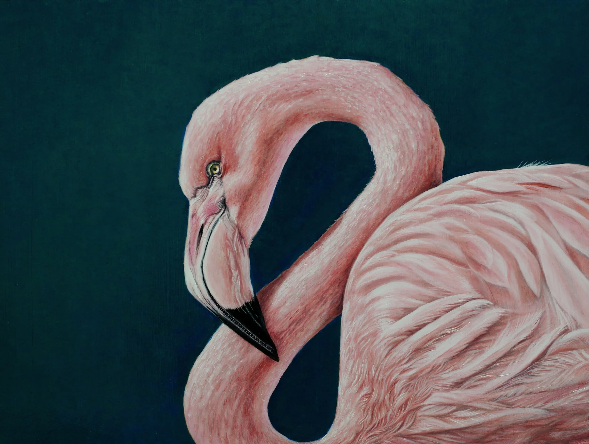 Bird Series #14  SOLD