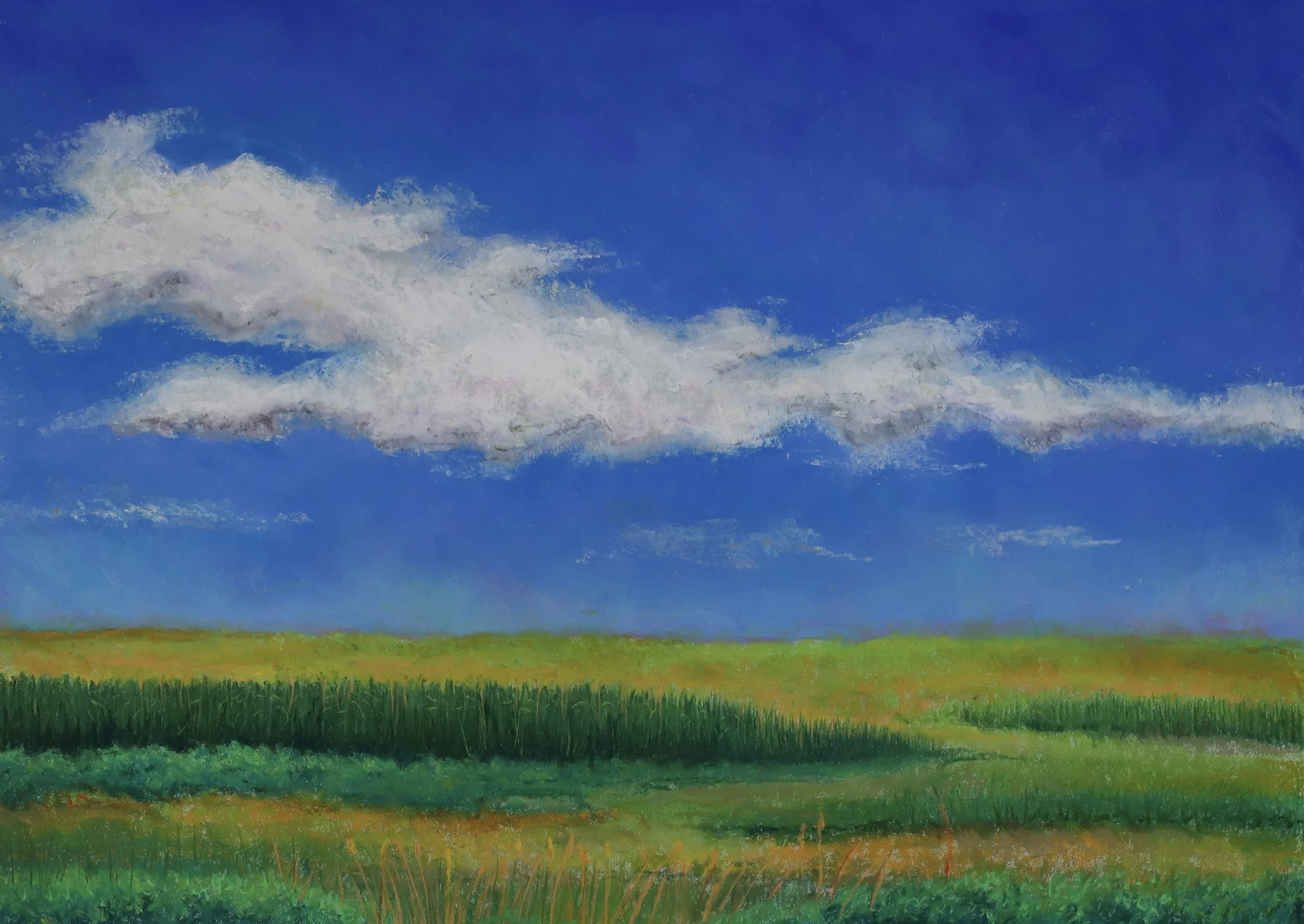 Knee High by the Fourth of July !!