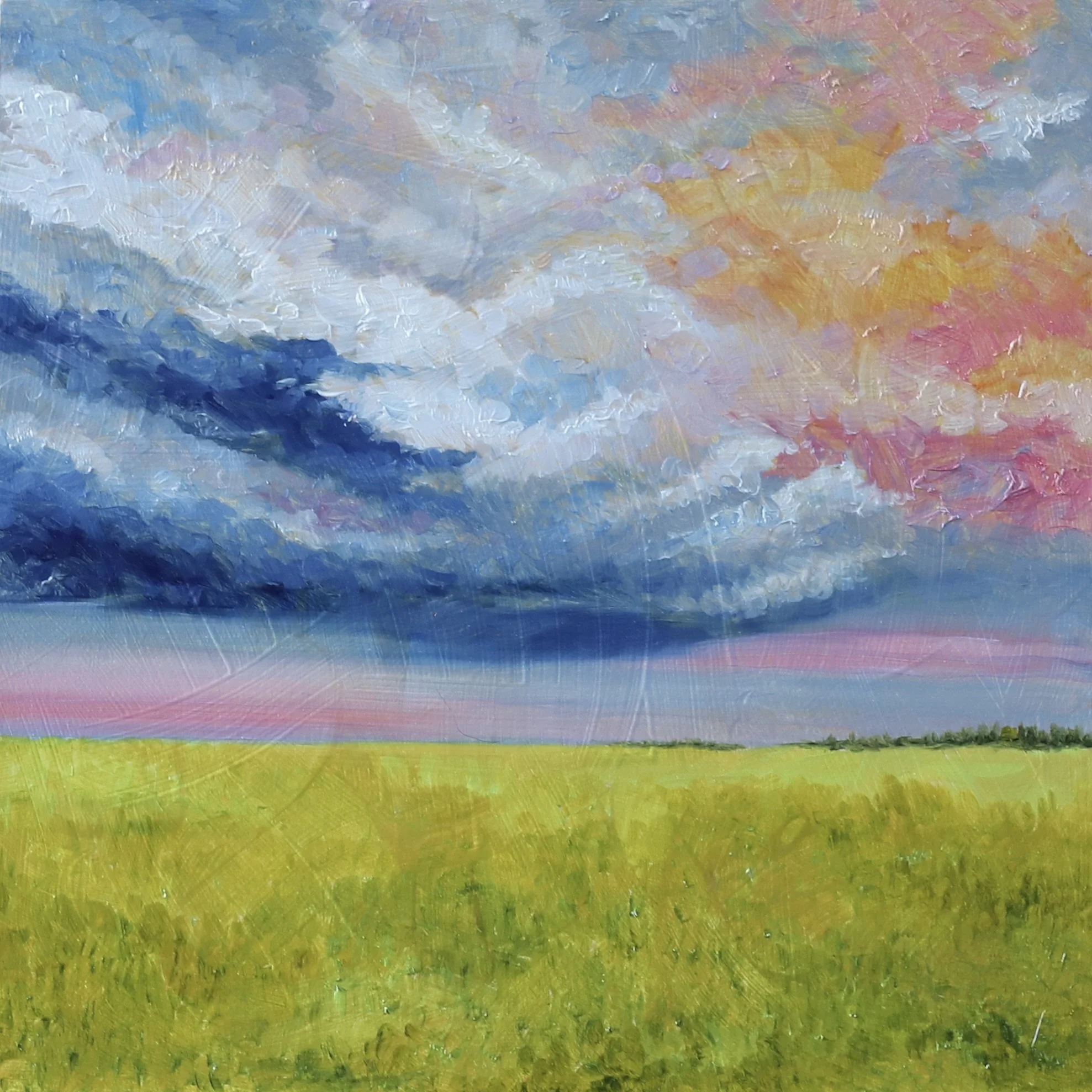  12 × 12 inches oil on baord  Donation to Toledo School for the Arts Undisclosed event 