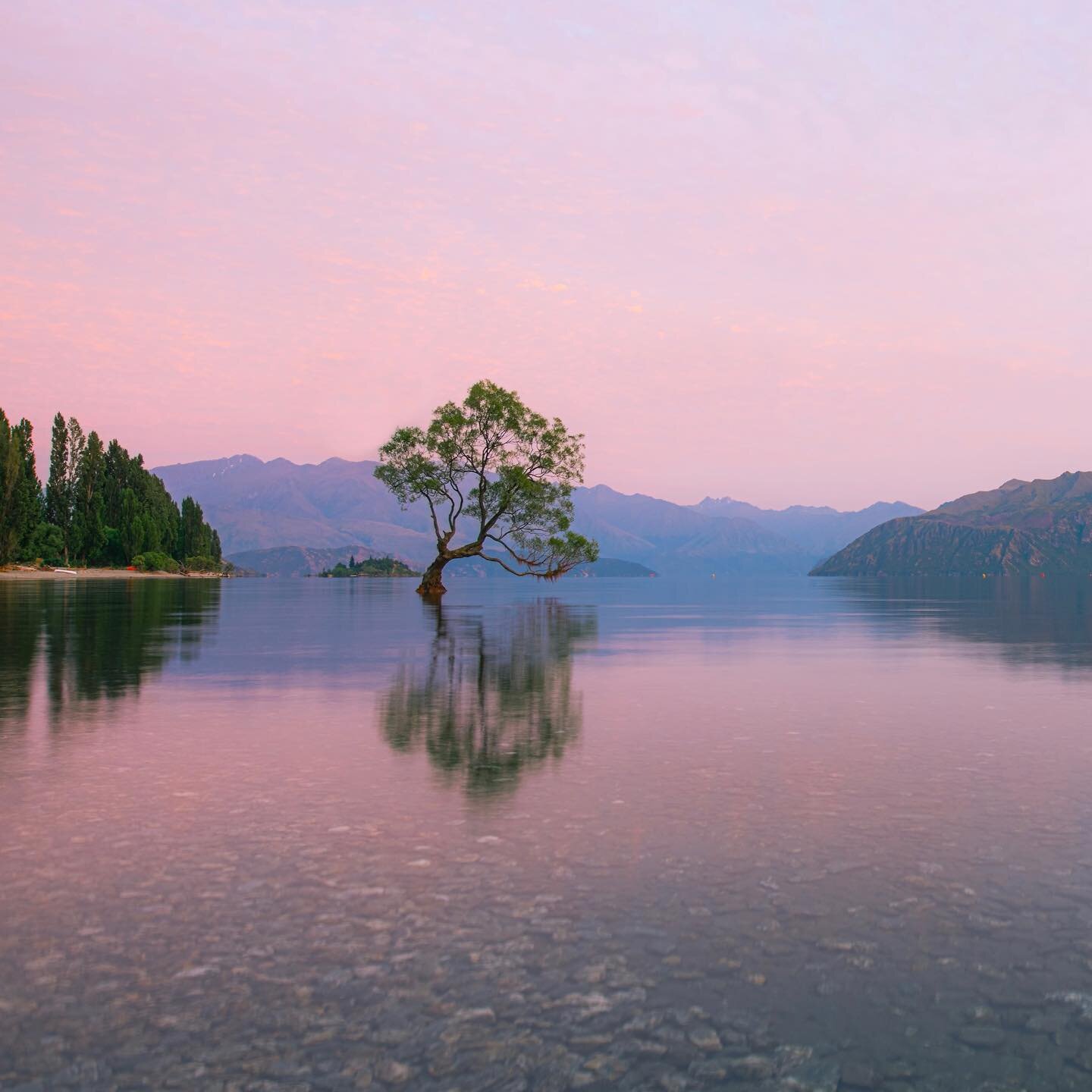 &lsquo;That Wanaka Tree&rsquo;, Sunrise on my birthday, last trip to NZ! Got some new fine art prints coming soon, you can follow my alter ego @idahphotography for the info and links when they come out!