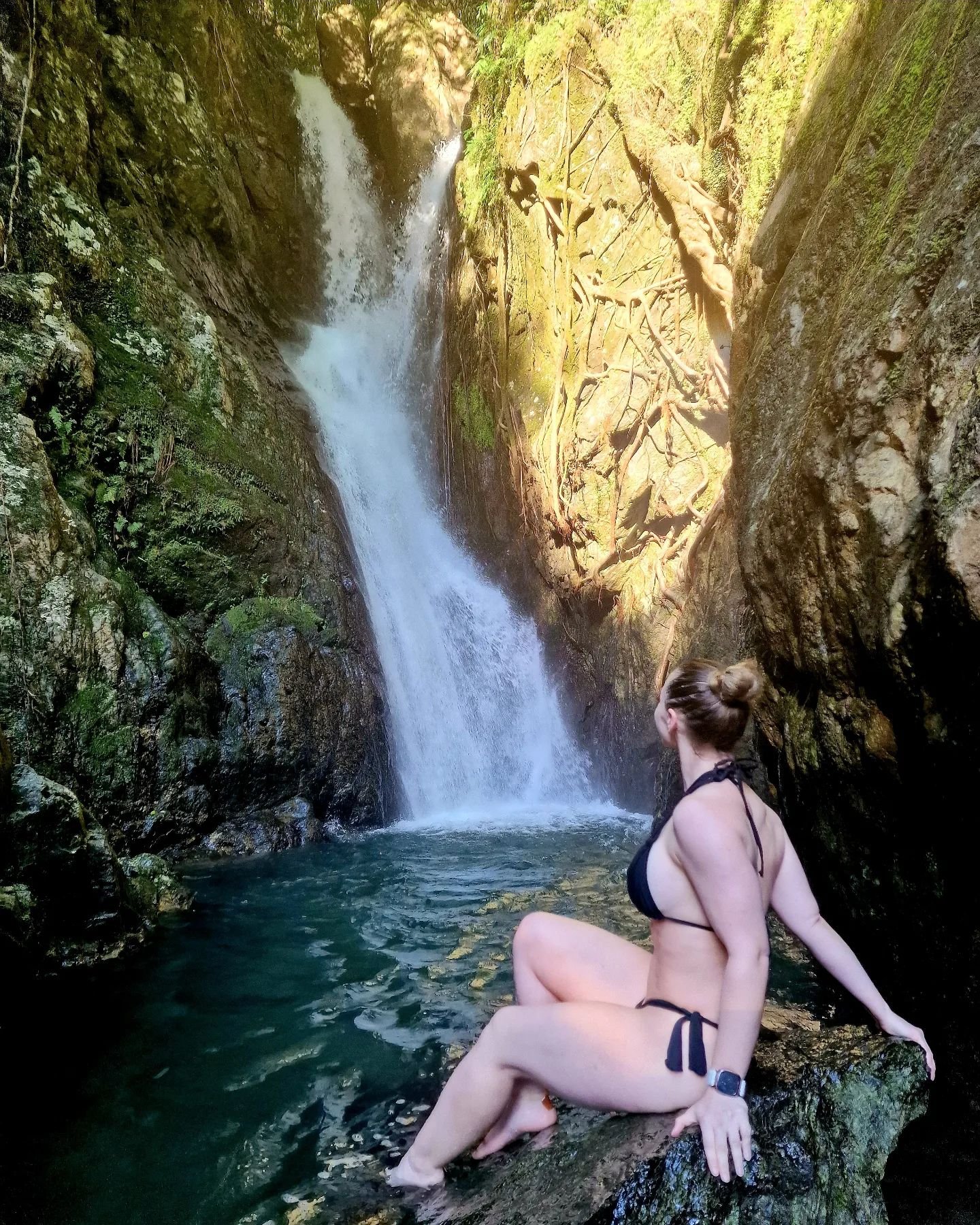 The climb to this was so worth it 😍
Photos/videos just don't do these sites justice !

#fairyfalls #queensland #cairns #Australia #waterfall