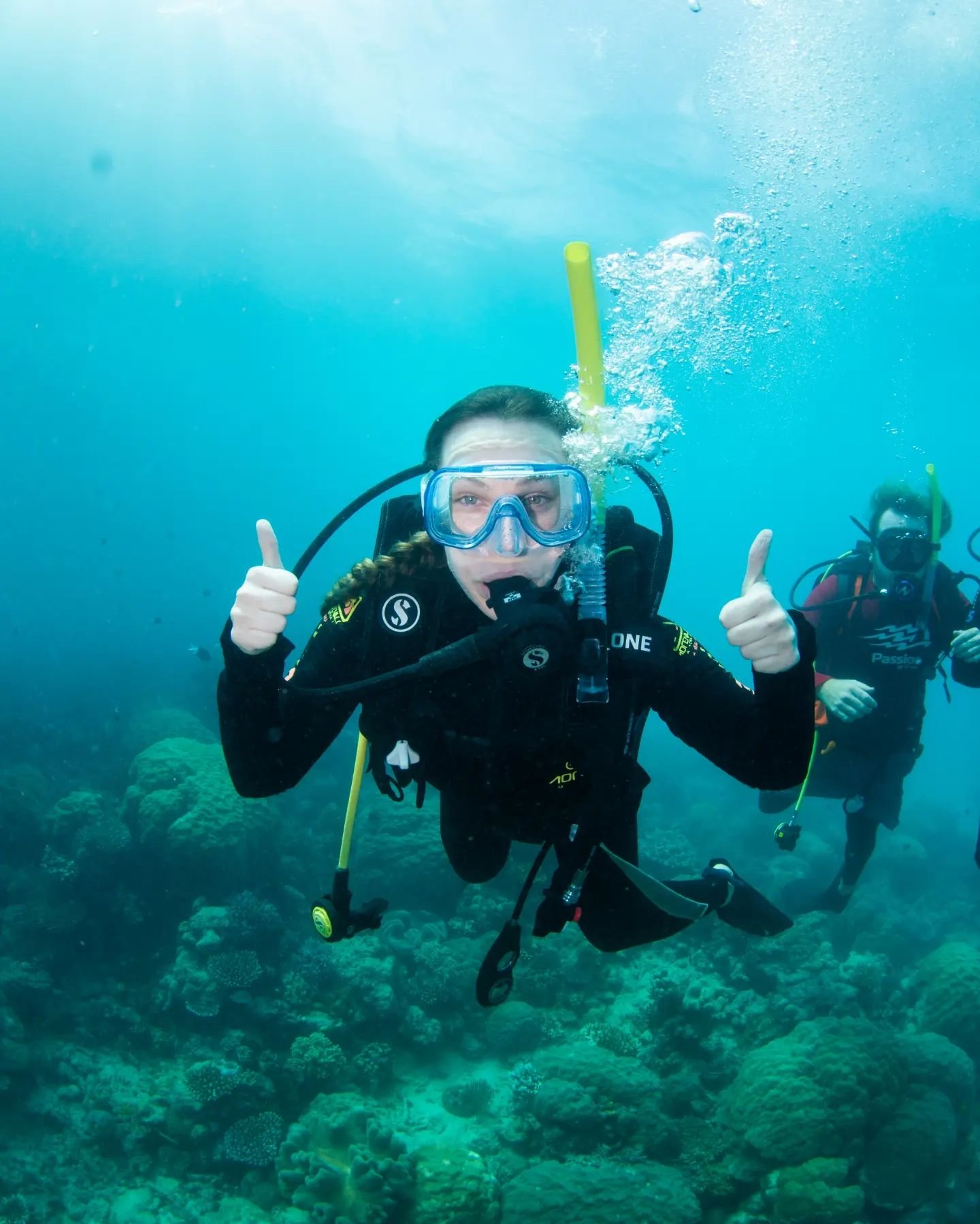 My very first scuba dive and I did it in the Great Barrier Reef ! Now that's pretty cool ! 🐟🐠🐡🪸 

#greatbarrierreef #thegreatbarrierreef #passionsofparadise #Australia #scuba #scubadive