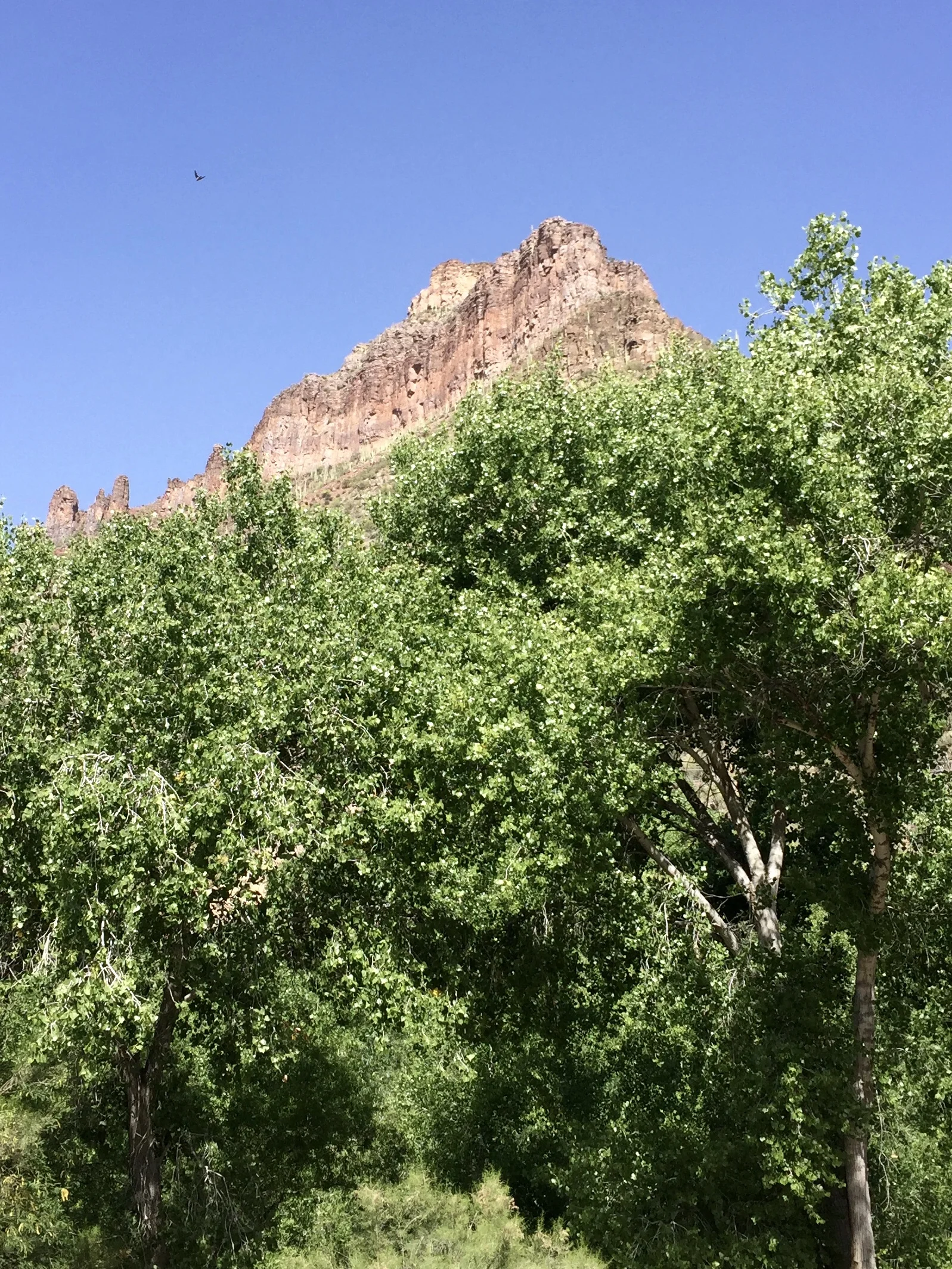 IMG_5585.jpg