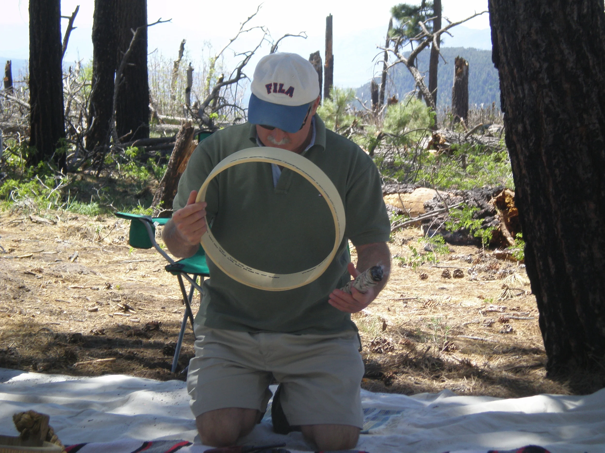 YMROP 2010 044.jpg