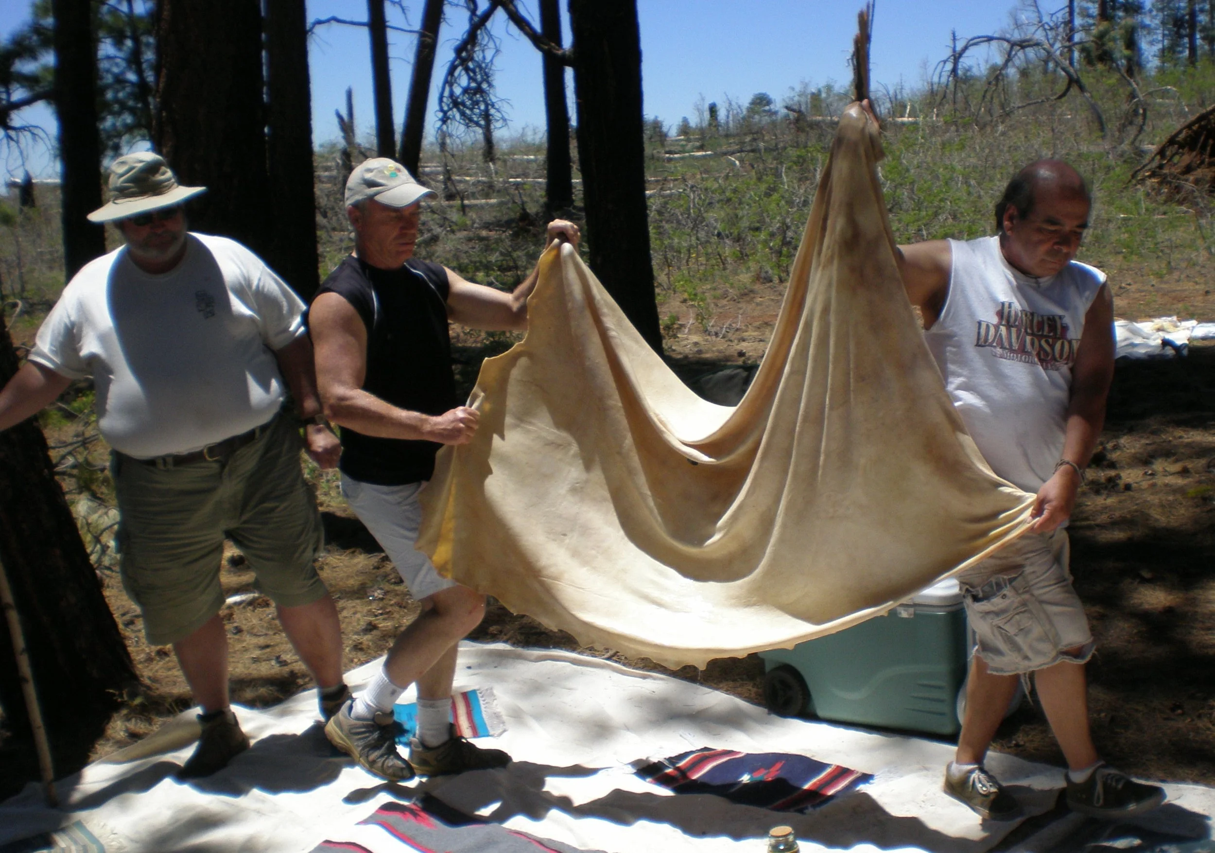 YMROP 2010 056.jpg