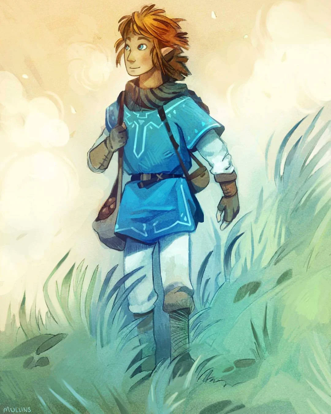 Link_BOTW.jpg