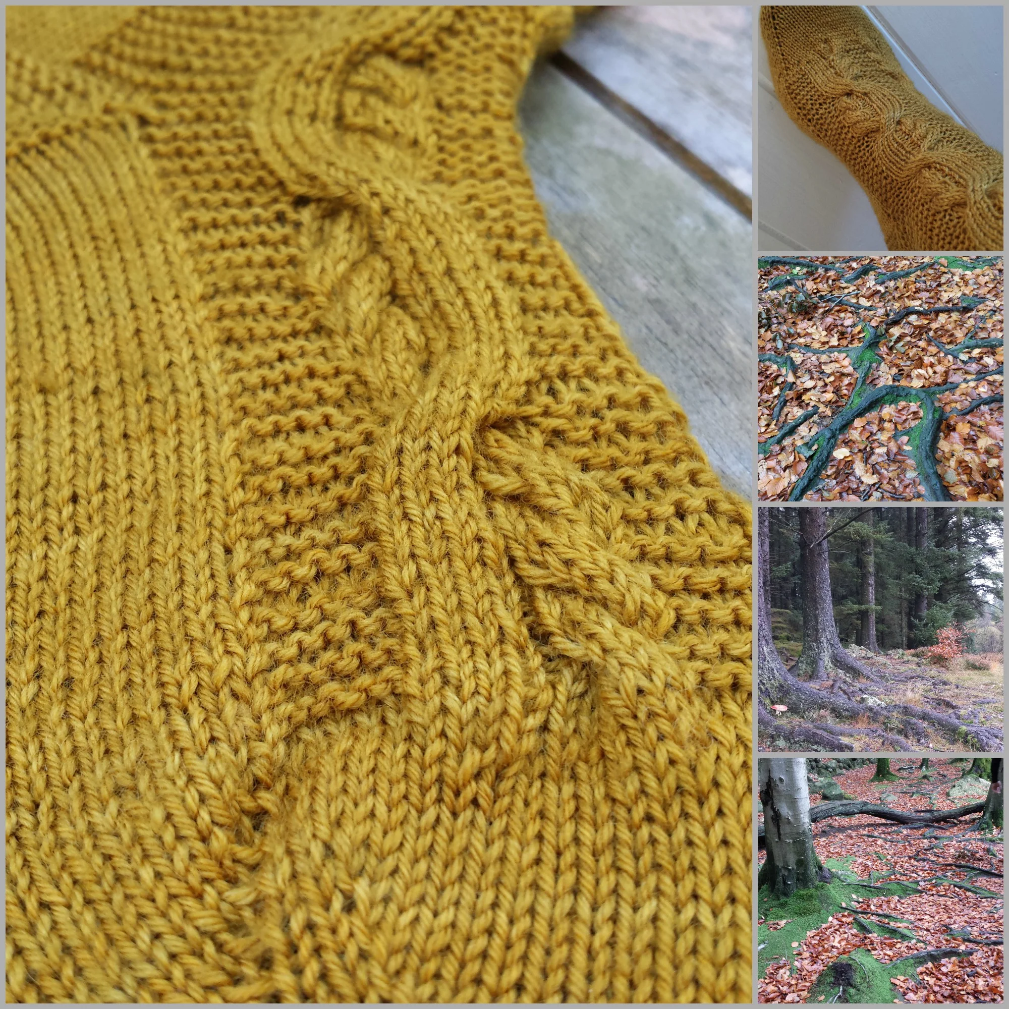Wyrt Socks and the tree roots that inspired them.