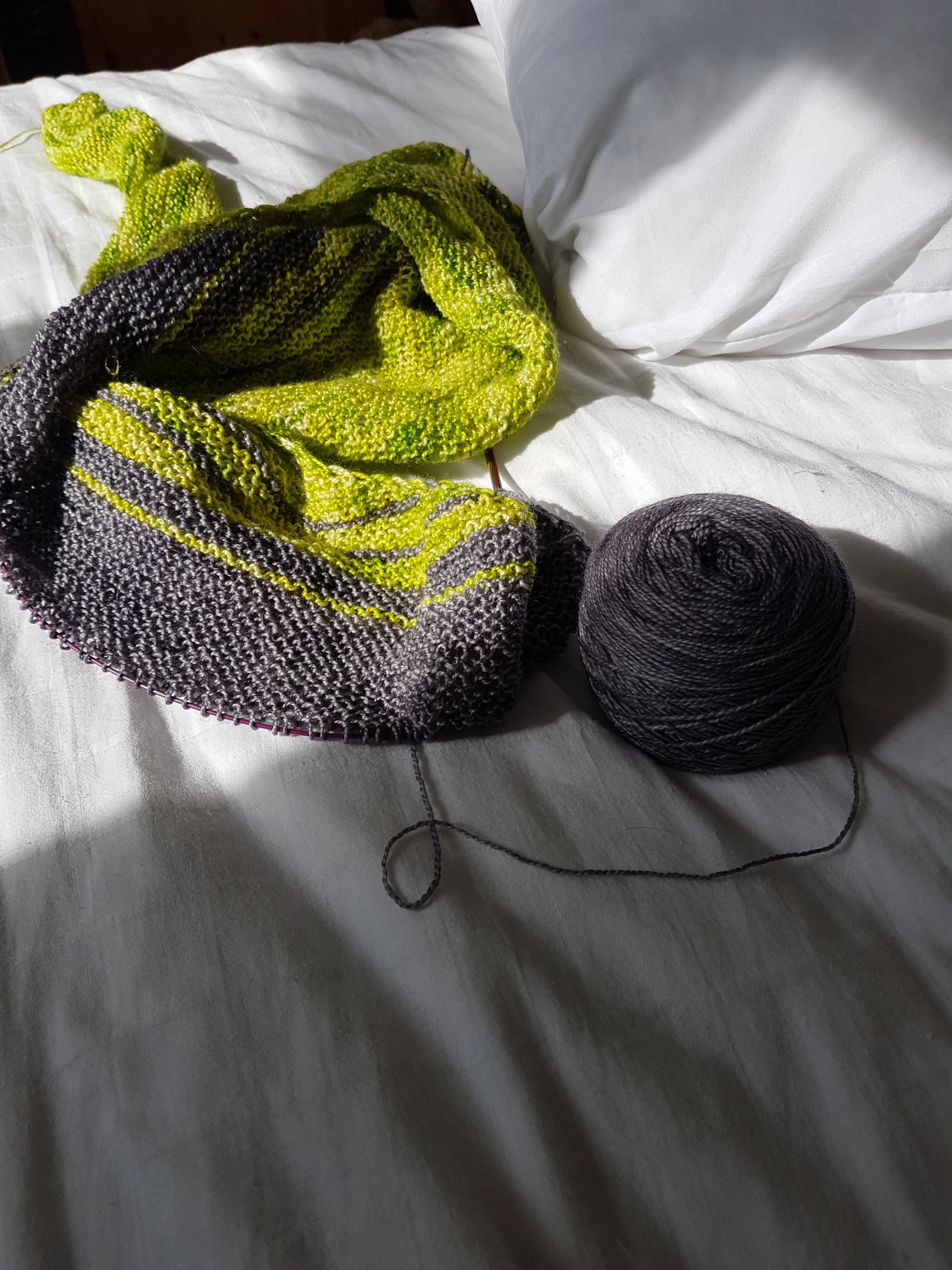 If force of will alone were sufficient this shawl would have been finished days ago. It has reached the point where I am willing it to be finished. Willing those last 20 to 30g of yarn to form themselves into neat little garter stitches just so that I can whip the thing off my needles and wrap it around my neck. As the end of a project approaches there are usually a variety of emotions which include, but are not limited to relief, frustration, joy or pride. With some projects you are having so much fun knitting them that the end almost creeps up on you and catches you unawares. Some you finish with a sense of relief, a sense of duty done and you can finally set it aside and work on something more joyful. But never, I don't think have I wanted to cast off a project so badly. Not because I'm not enjoying it - it is fabulous easy and soothing knitting. Not because I don't like the yarn or the project - both are lovely and a delight to work on. It's just that this shawl sums up everything about this fleeting season that I love. Bright sunny days (sometimes), beautiful cherry blossom, fresh vibrant green buds and slightly grey, misty mornings. All summed up in garter stitch goodness just waiting to be wrapped around my neck. So, armed with strong coffee and a packet of chocolate digestive I've set myself the task of getting to the picot bind off by bedtime tonight. Wish me luck...