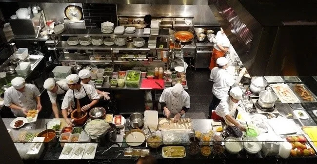 The Professional Chef