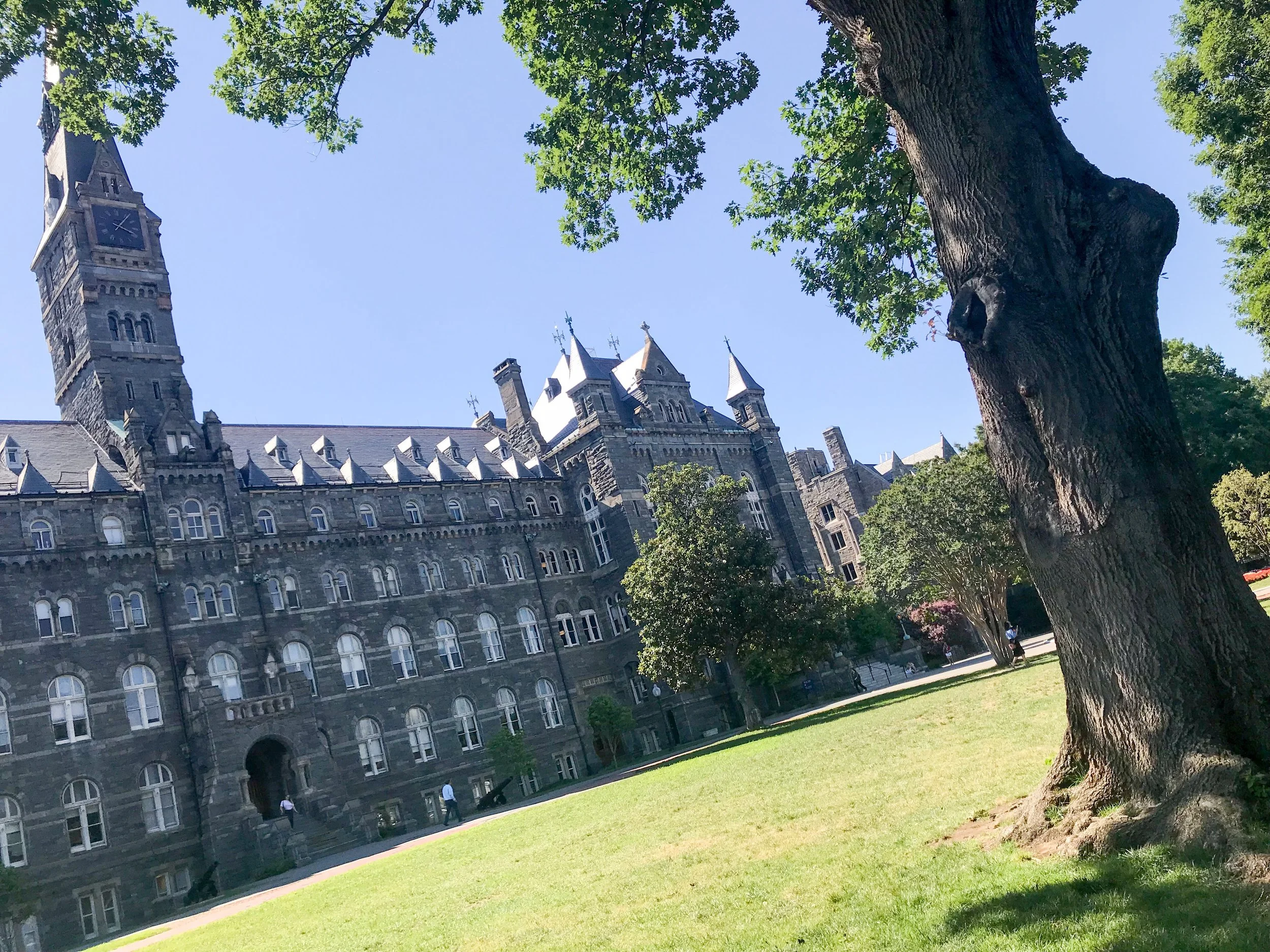 Georgetown University Chef Battle