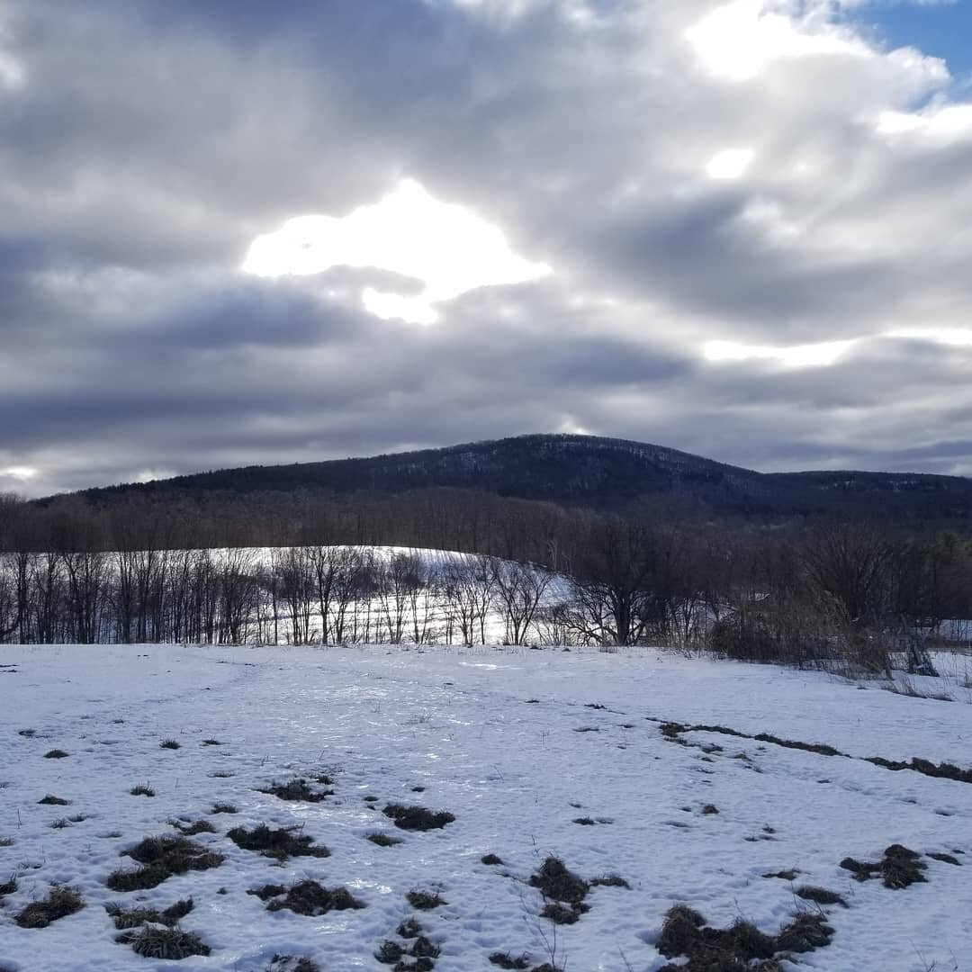 Very dramatic light this morning! It was quite exciting to have two mornings in a row where we started at a temperature above freezing.
#laughingearth