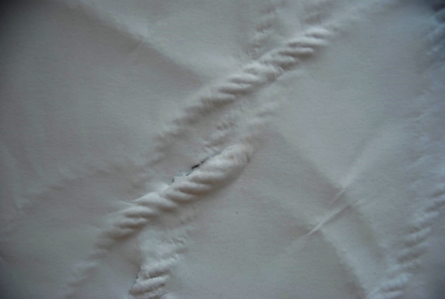 rope collagraph.jpg