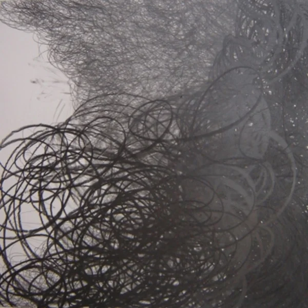 Ceaseless Flux