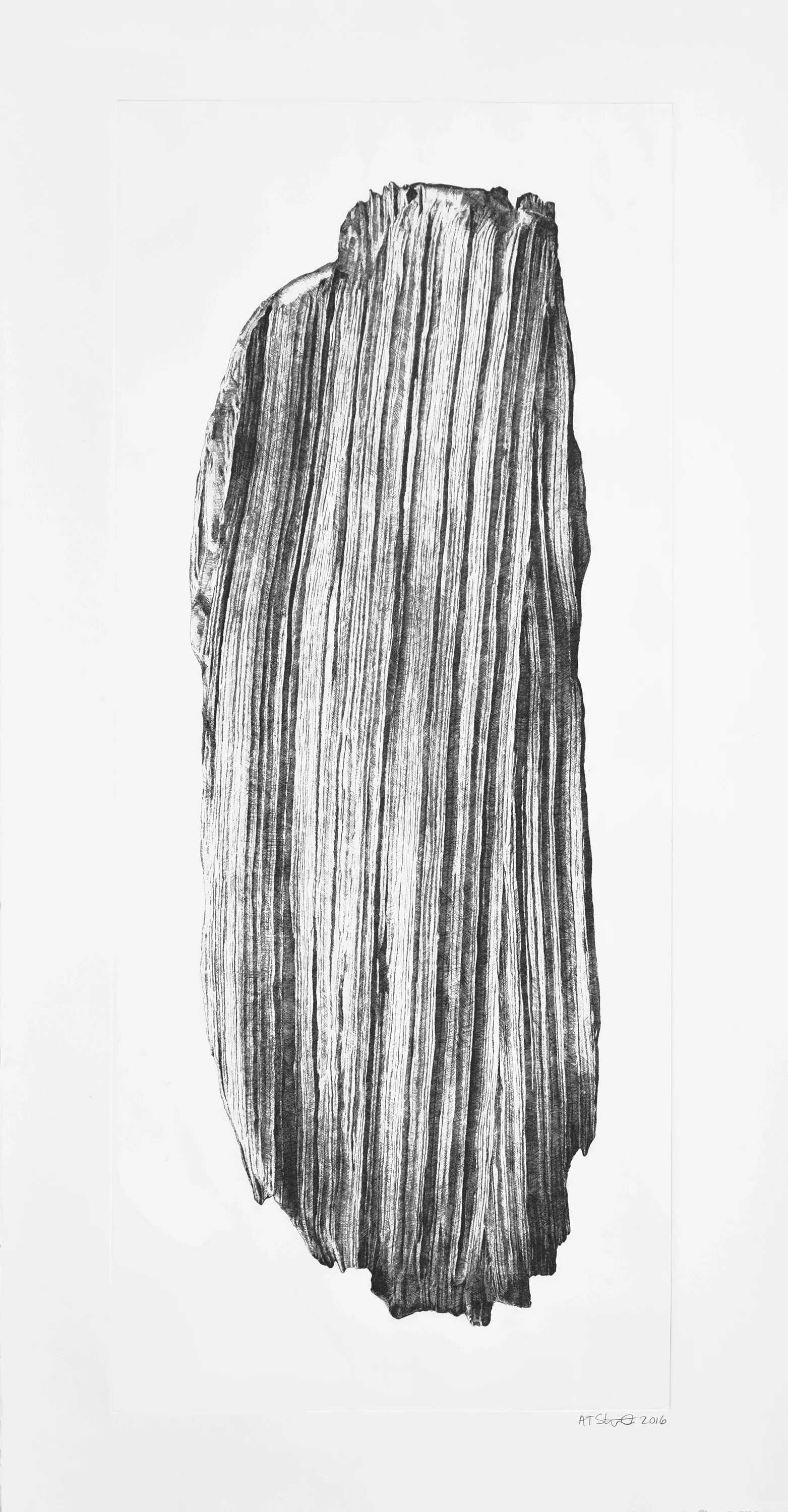 Aaron Stephan Untitled BS copperplate etching 32x62 inches 2016 printer: Michel Droge