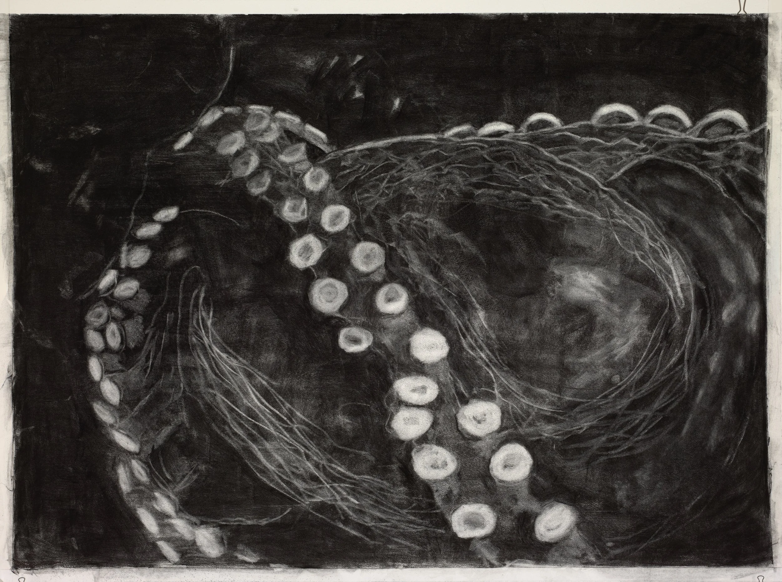 Droge Octo Mama Charcoal 2.jpeg