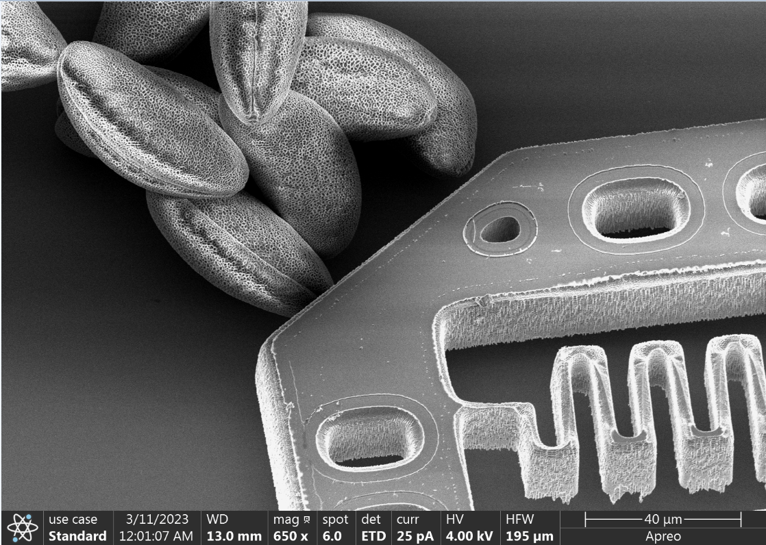 Microrobot with Daffodil Flower Pollen 