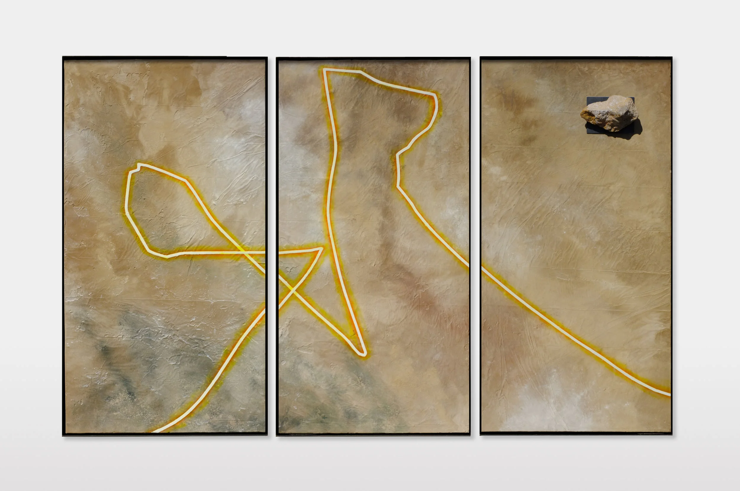Petrified Forest 001 (Triptych)