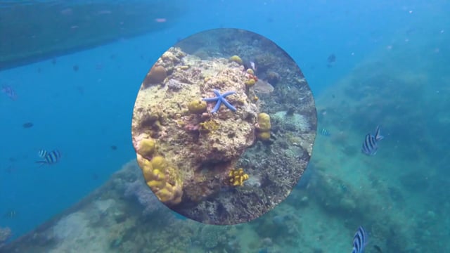 underwater_01