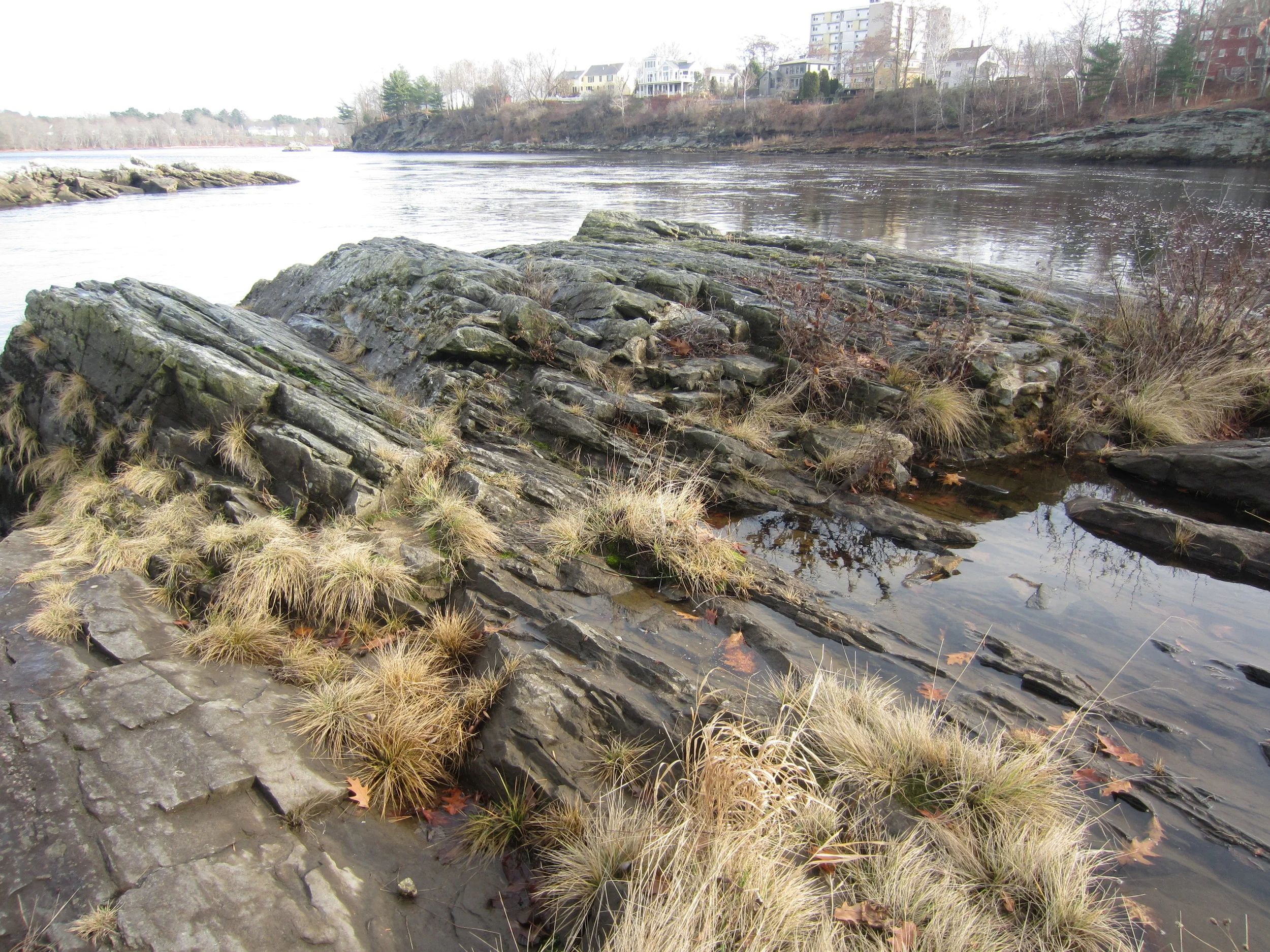 Living Hope website pictures 141.JPG