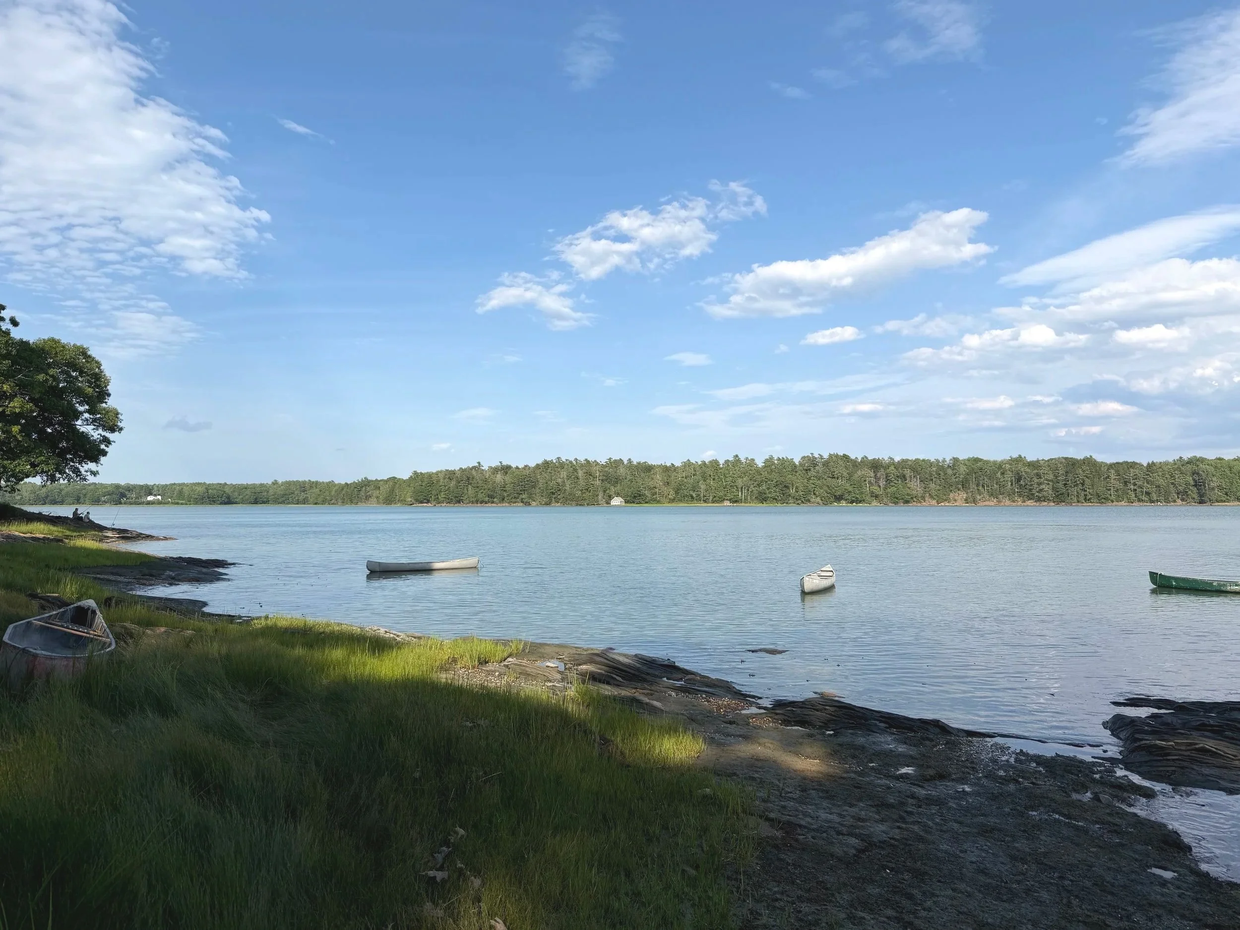 Simpson's Point.jpg
