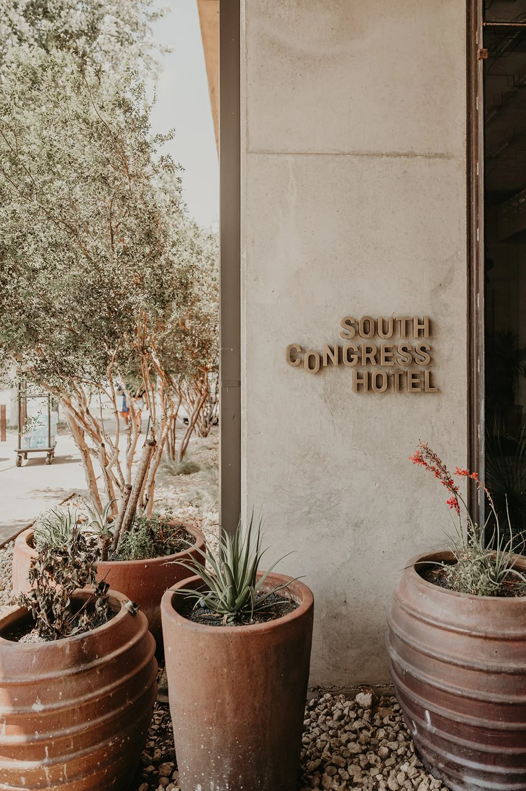 Copy of Cocktail Time-1.jpg