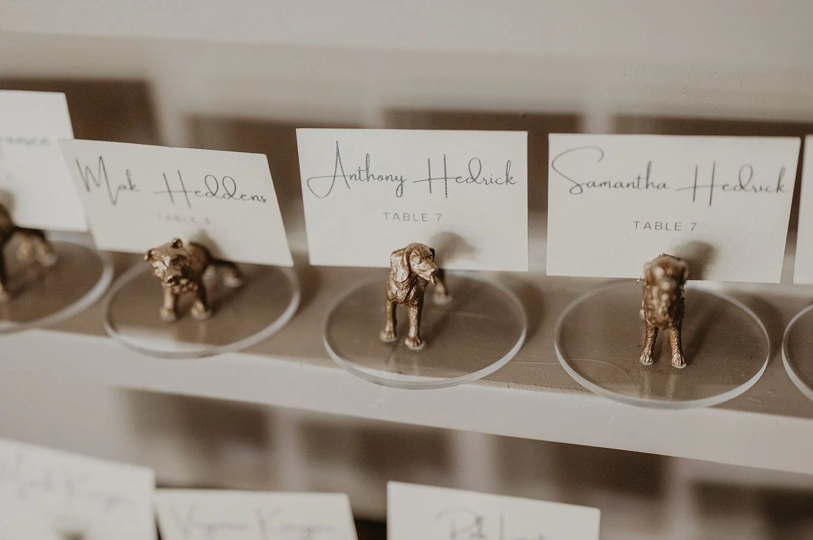 Copy of Cocktail Time-19.jpg