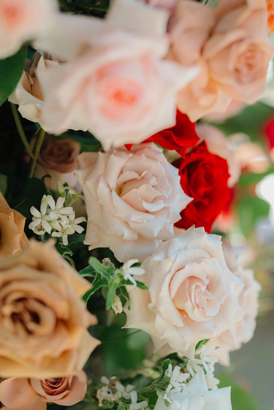 Copy of trois-estate-wedding (26 of 121).jpg