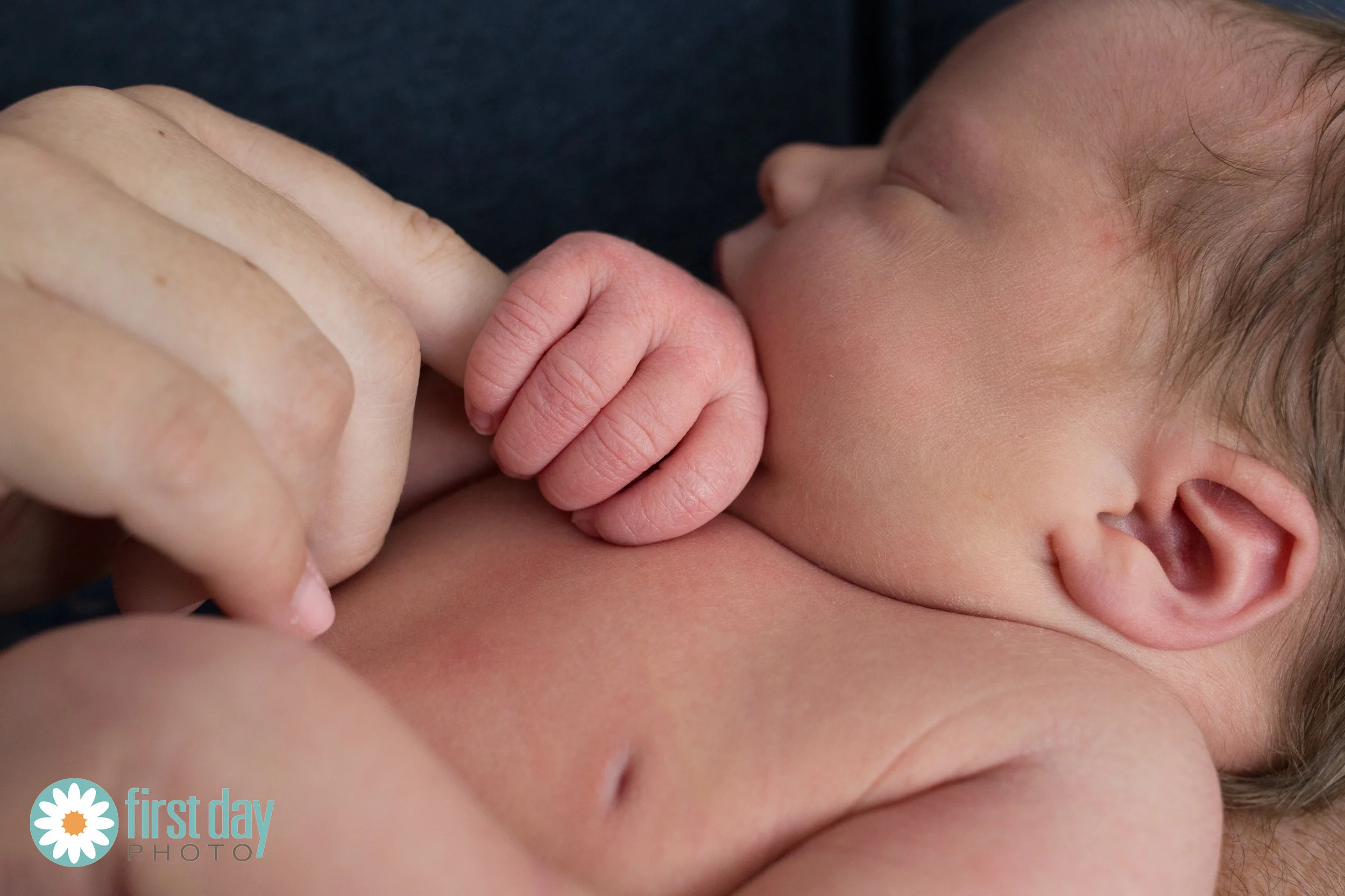 IMG_9817-Edit.jpg