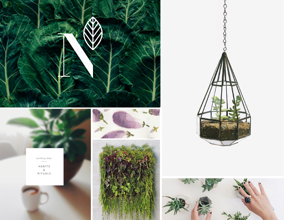 Branding-blog-design-moodboard1.jpg