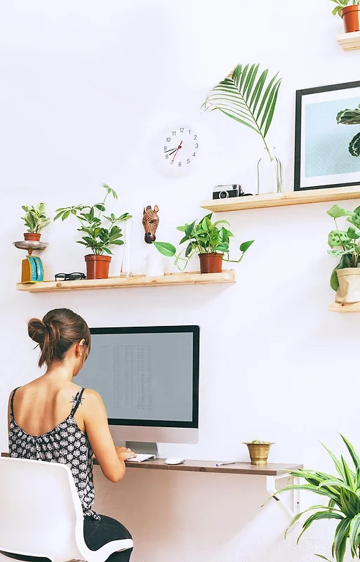 pretty-office-plants.jpg
