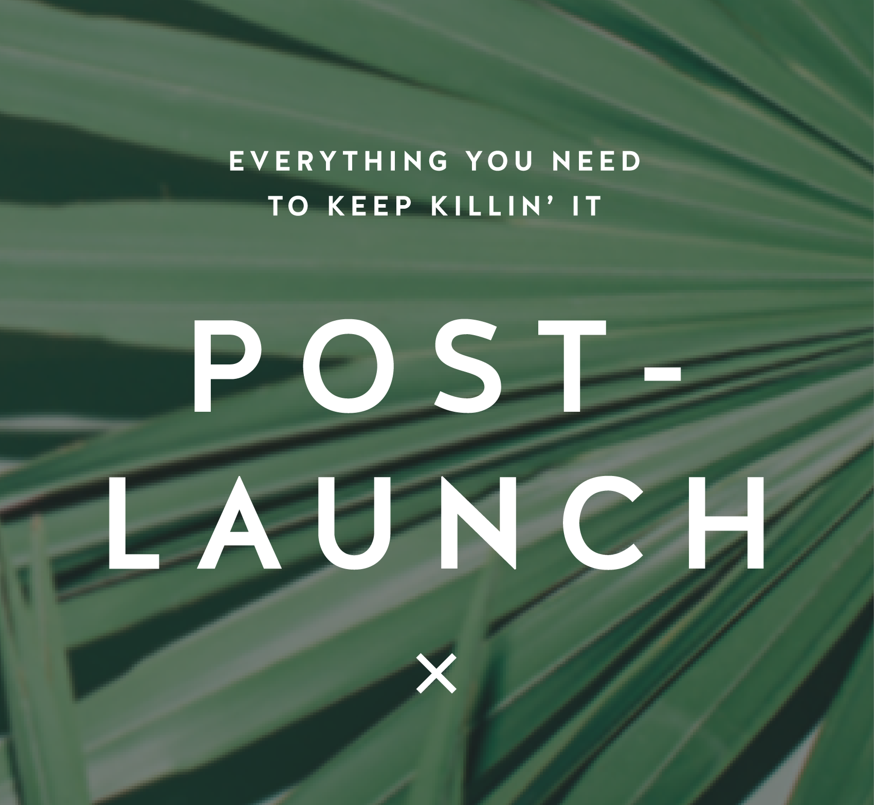 Everything-you-need-to-do-post-lunch-after-launching-website-33-33.png