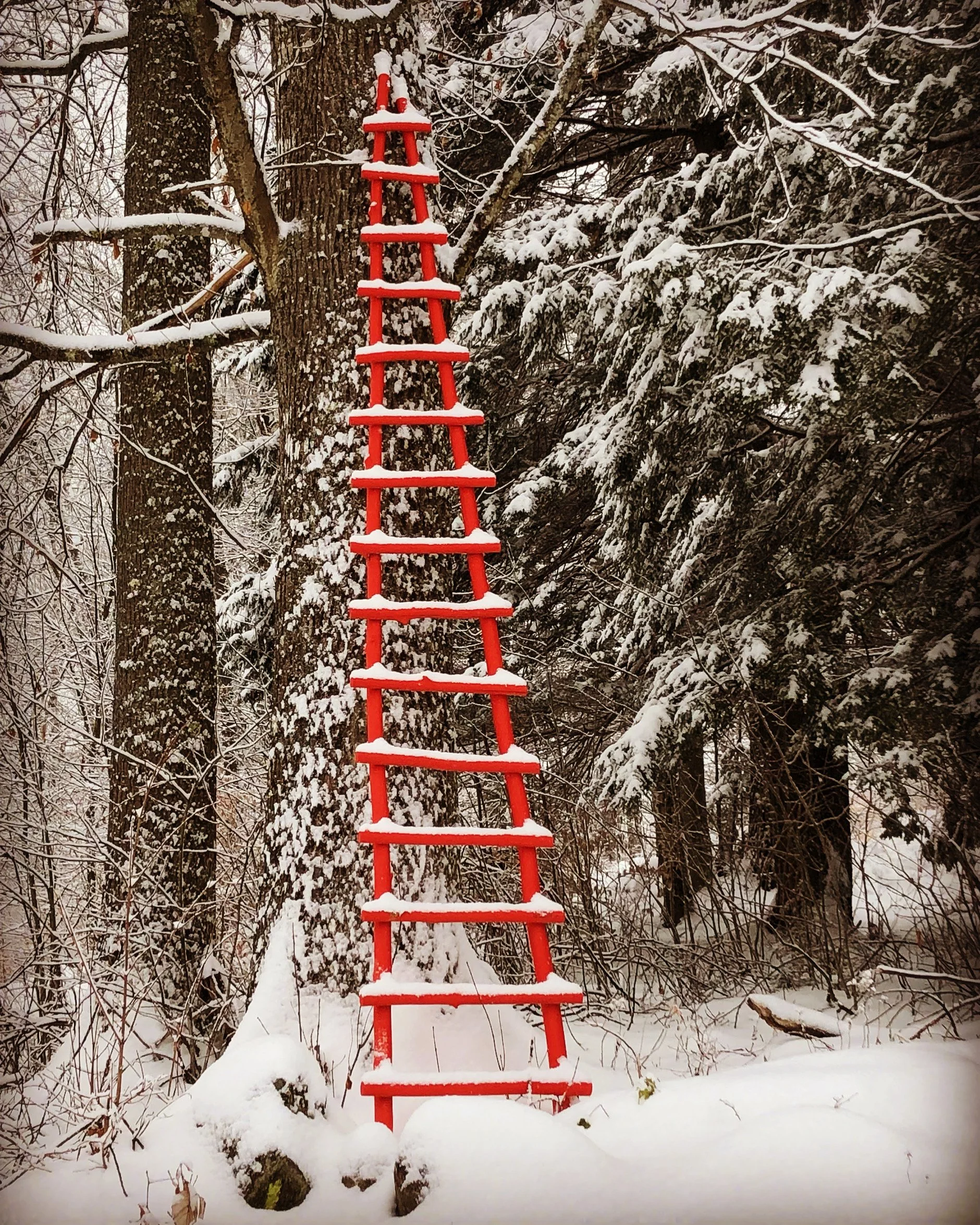 ladder use from iphone.JPG