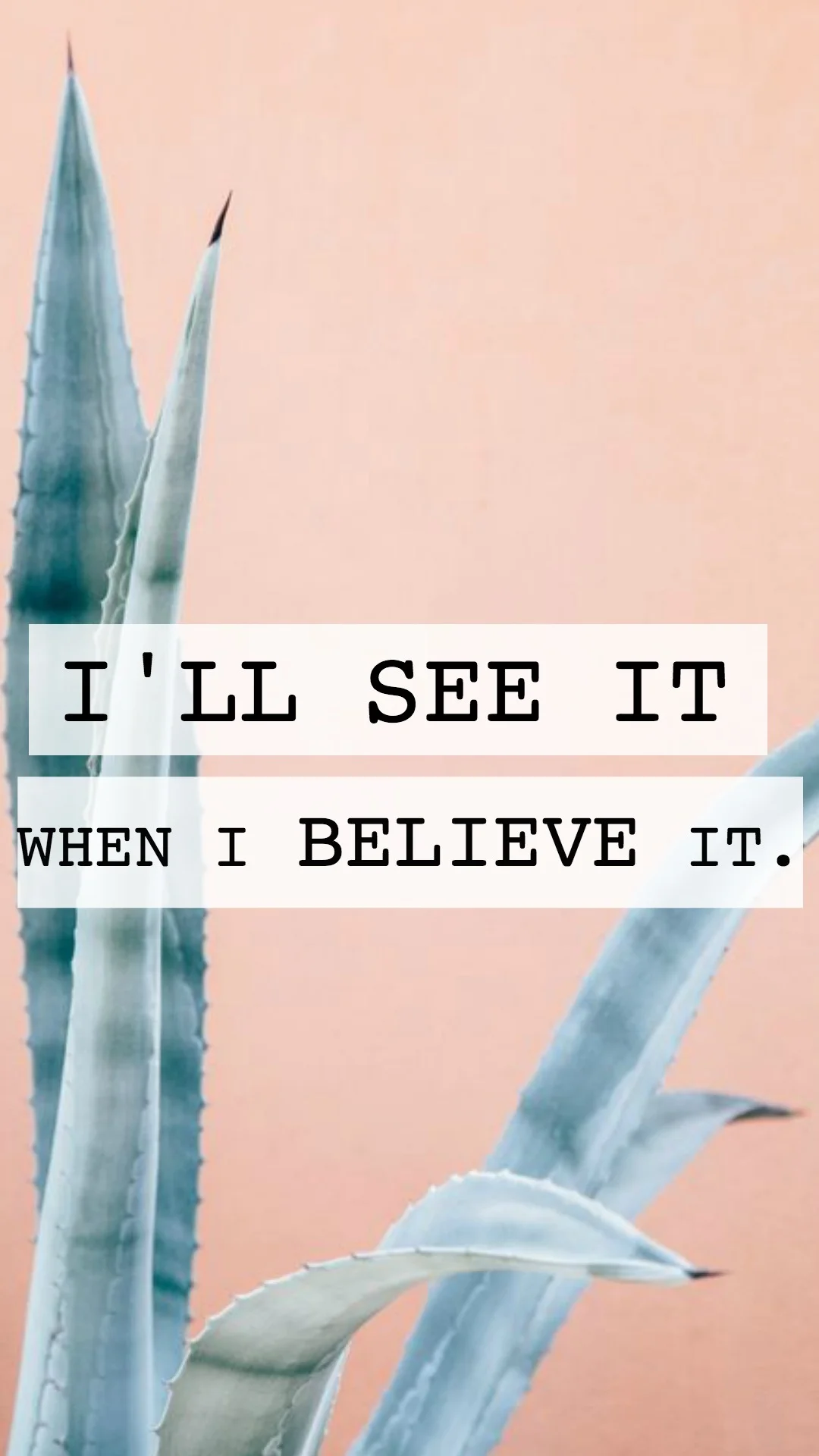 I'LL SEE it when I believe it.jpg
