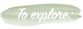 explore.png