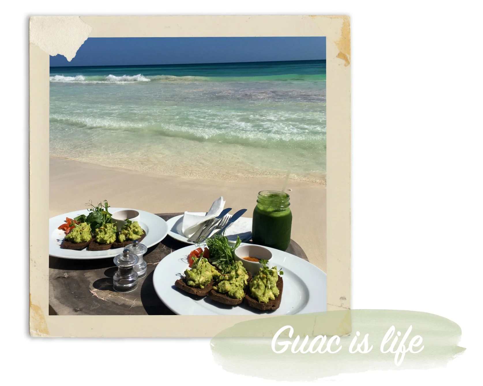 guac is liiiife.jpg