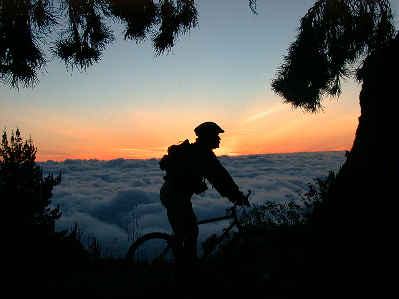 Bike Heaven