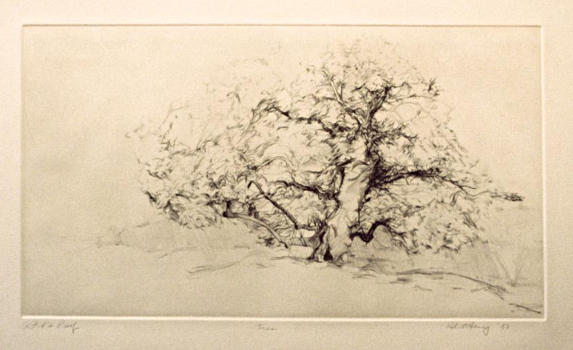 tree engraving.jpg