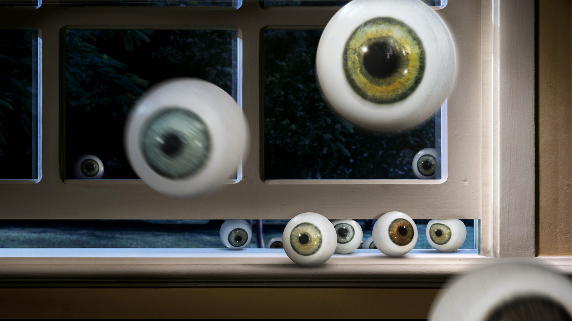 HD PLUS STYLEFRAME 003 copy.jpg