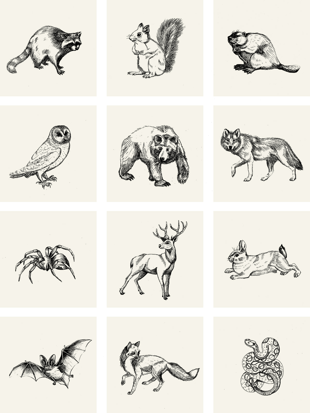 allanimals.jpg