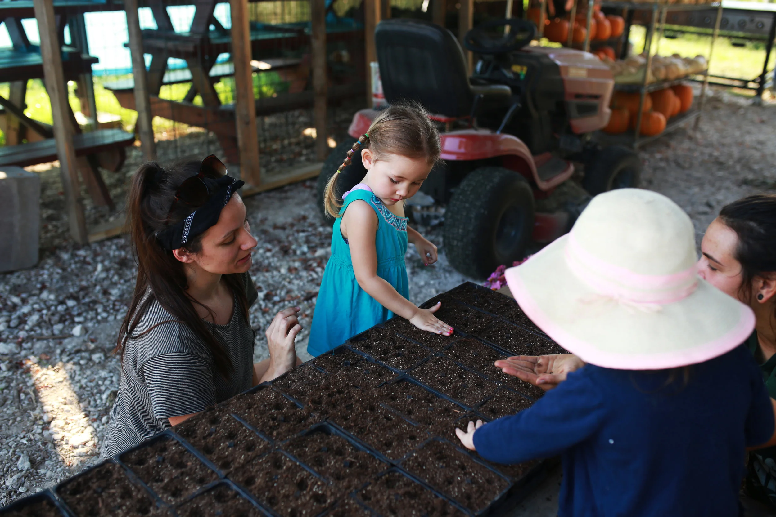 farm7.jpg