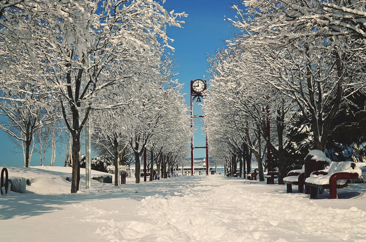 petoskey-downtown